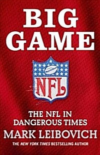 Big Game : The NFL in Dangerous Times (Paperback)