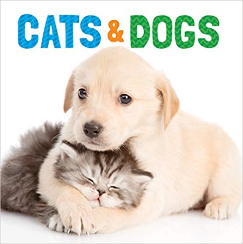 Cats & Dogs