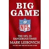 Big Game : The NFL in Dangerous Times (Paperback)