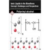 Ionic Liquids in the Biorefinery Concept: Challenges and Perspectives